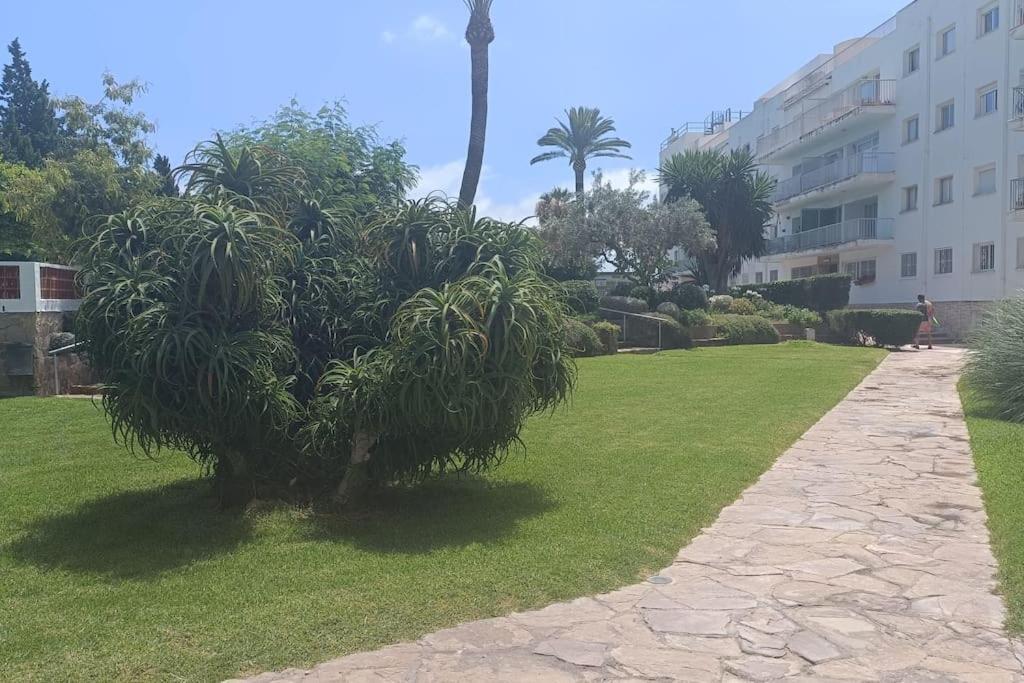 Apartamento 1ª Linea De Playa Alicante Exteriör bild